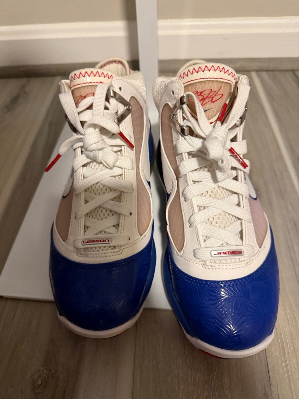Nike  Air Max Lebro 7 basketball shoes